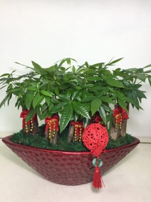 編號:E0008----船型發財祝賀盆景